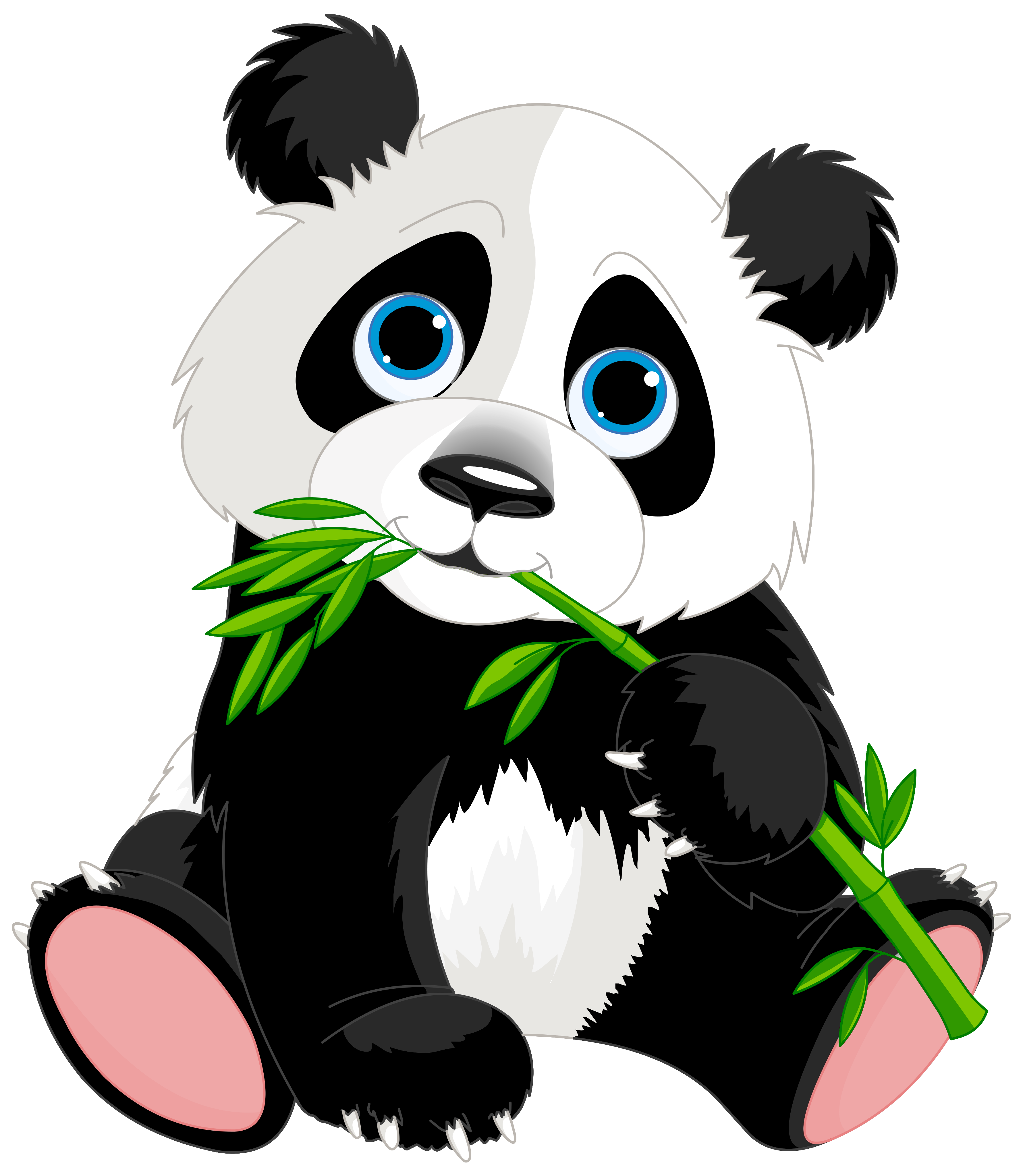 Panda head clipart free image