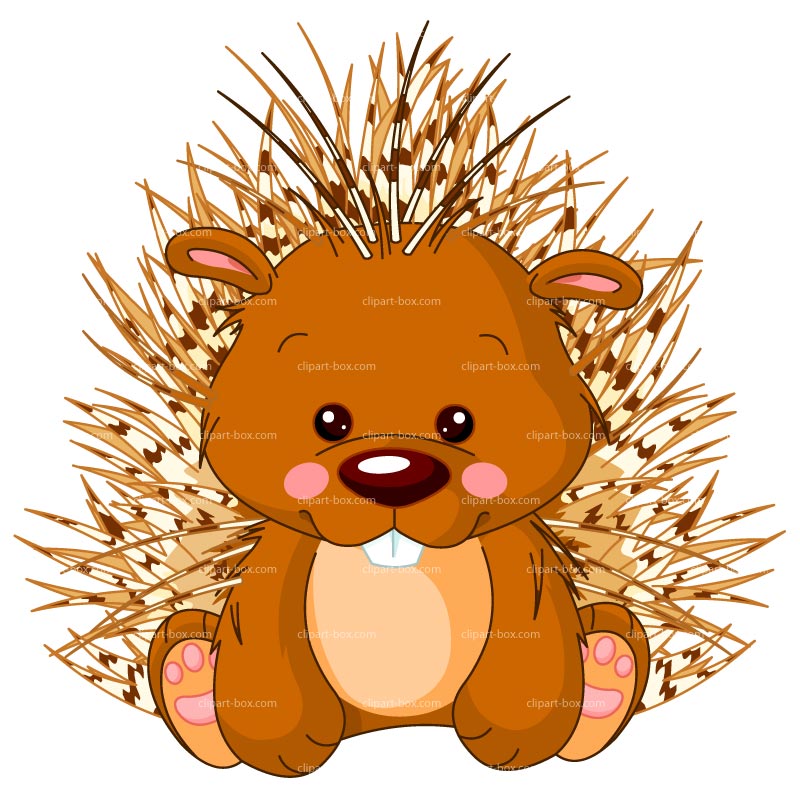 porcupine clipart #10