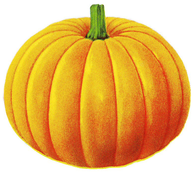 Clipart Pumpkin So I M Also Including This Pumpkin Image Separate