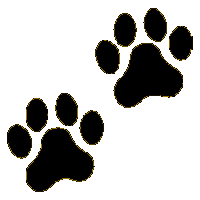 Clipart puppy paw prints - .