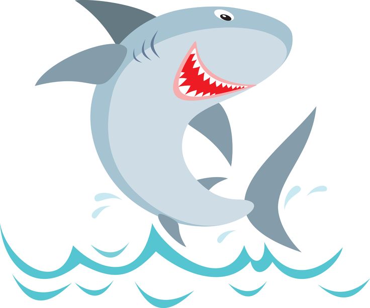 Clipart Sharks Face Official Sharks Clipart Illustration Cute