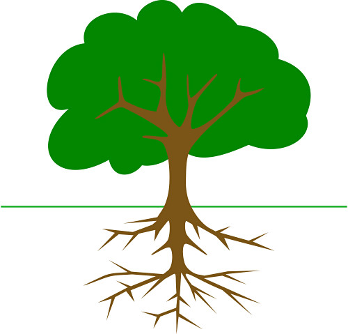 clipart tree - Clipart Of Trees