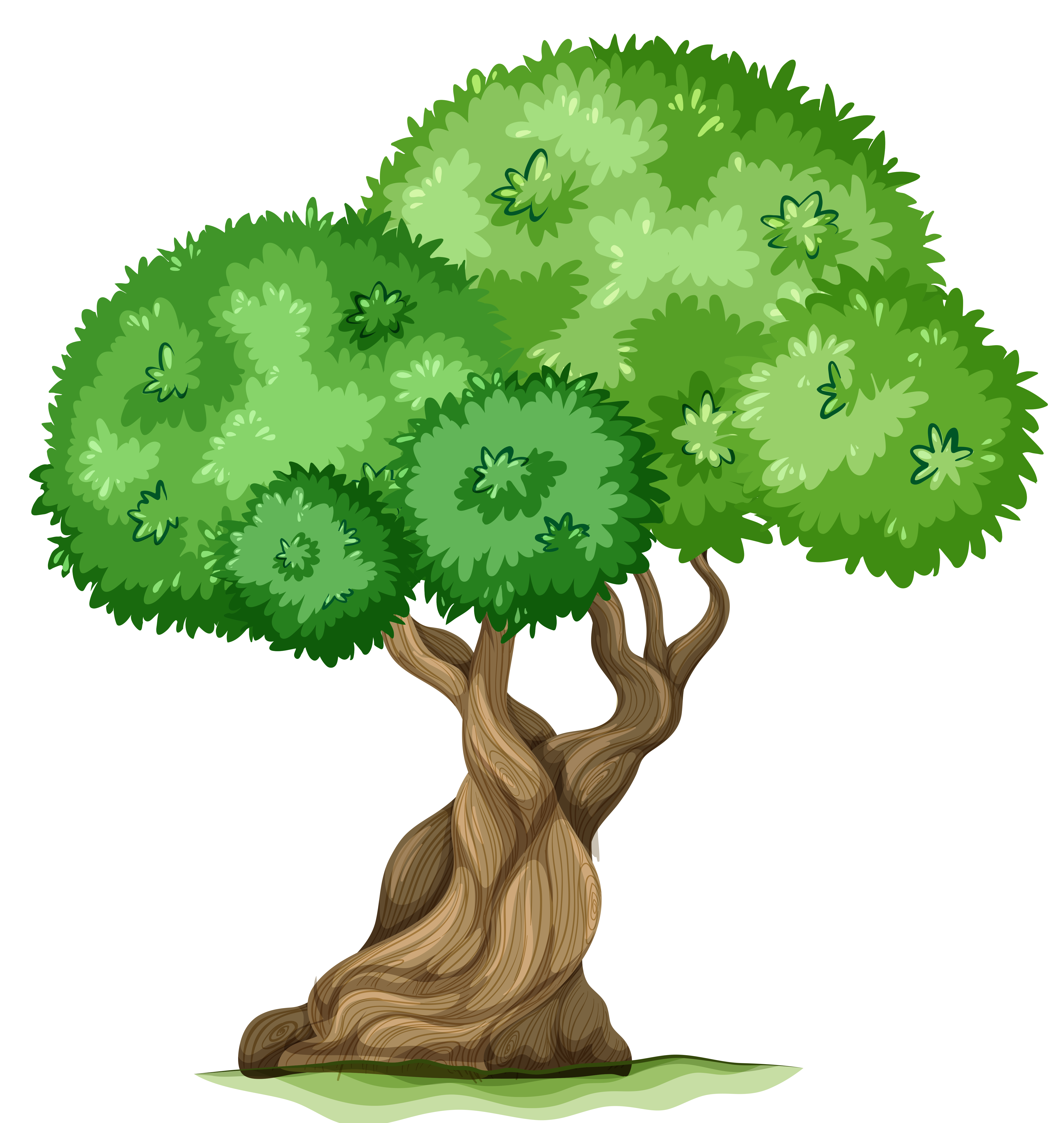 clipart tree - Tree Clipart