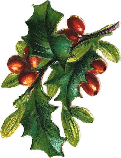 This Lovely Sprig Of Holly An