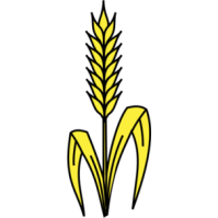 Clipart wheat stalk - ClipartFest