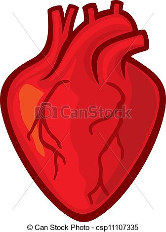 ... Clipartby Eraxion41/2,887 - Human Heart Clip Art