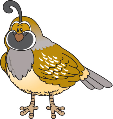 cliparti quail clipart id- . - Quail Clipart