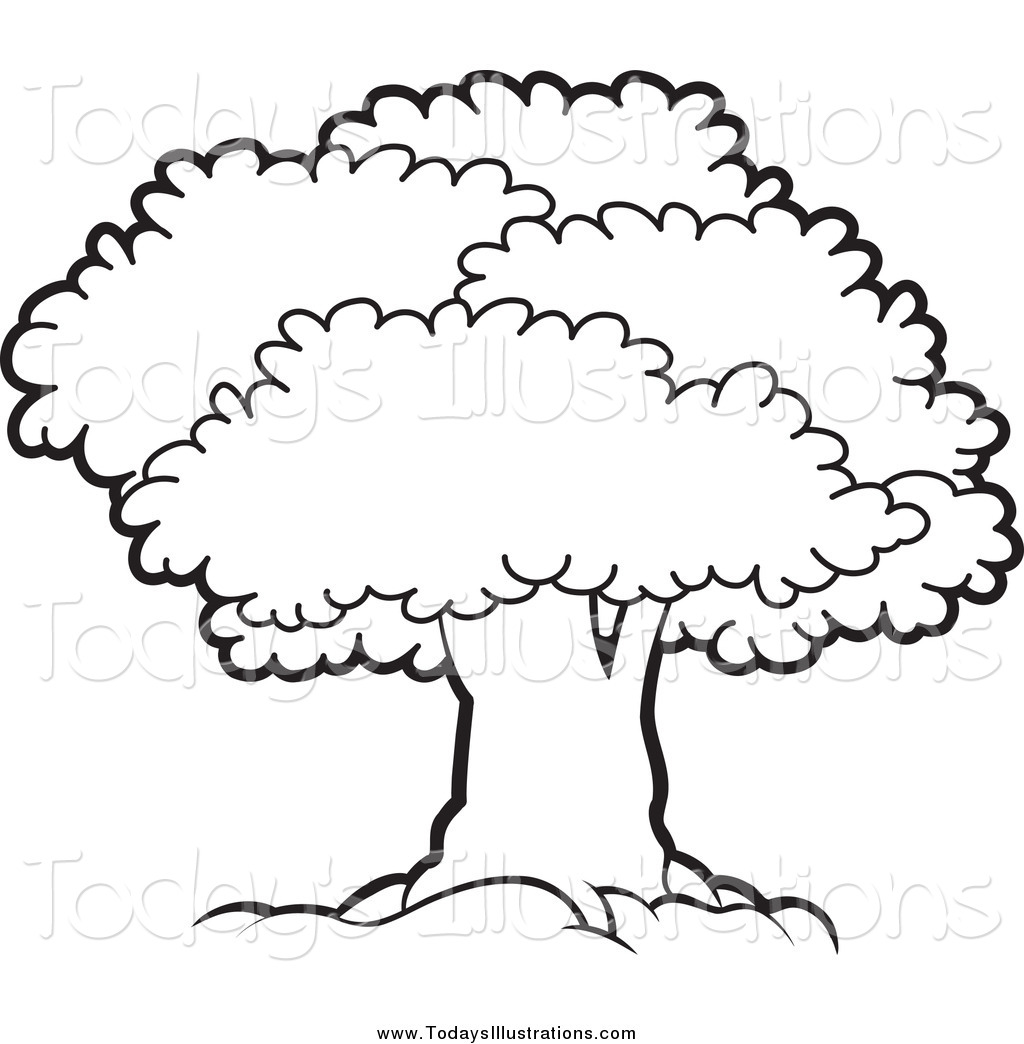 black and white bare tree cli