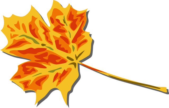 Clkeru0026#39;s Free Fall Leaves Clip Art. A yellow and red fall leaf.