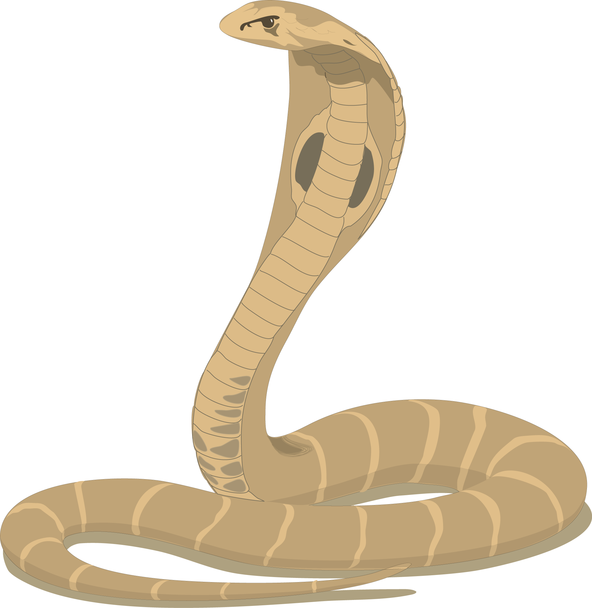 Cobra Clip Art Free. Cobra Snake Cartoon