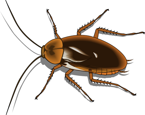 Cockroach Clip Art - Cockroach Clipart