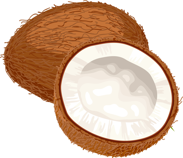 coconut clipart - Coconut Clip Art