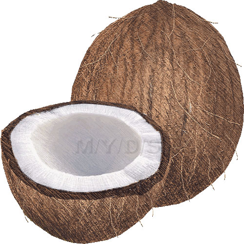 Coconut u0026middot; Half a c