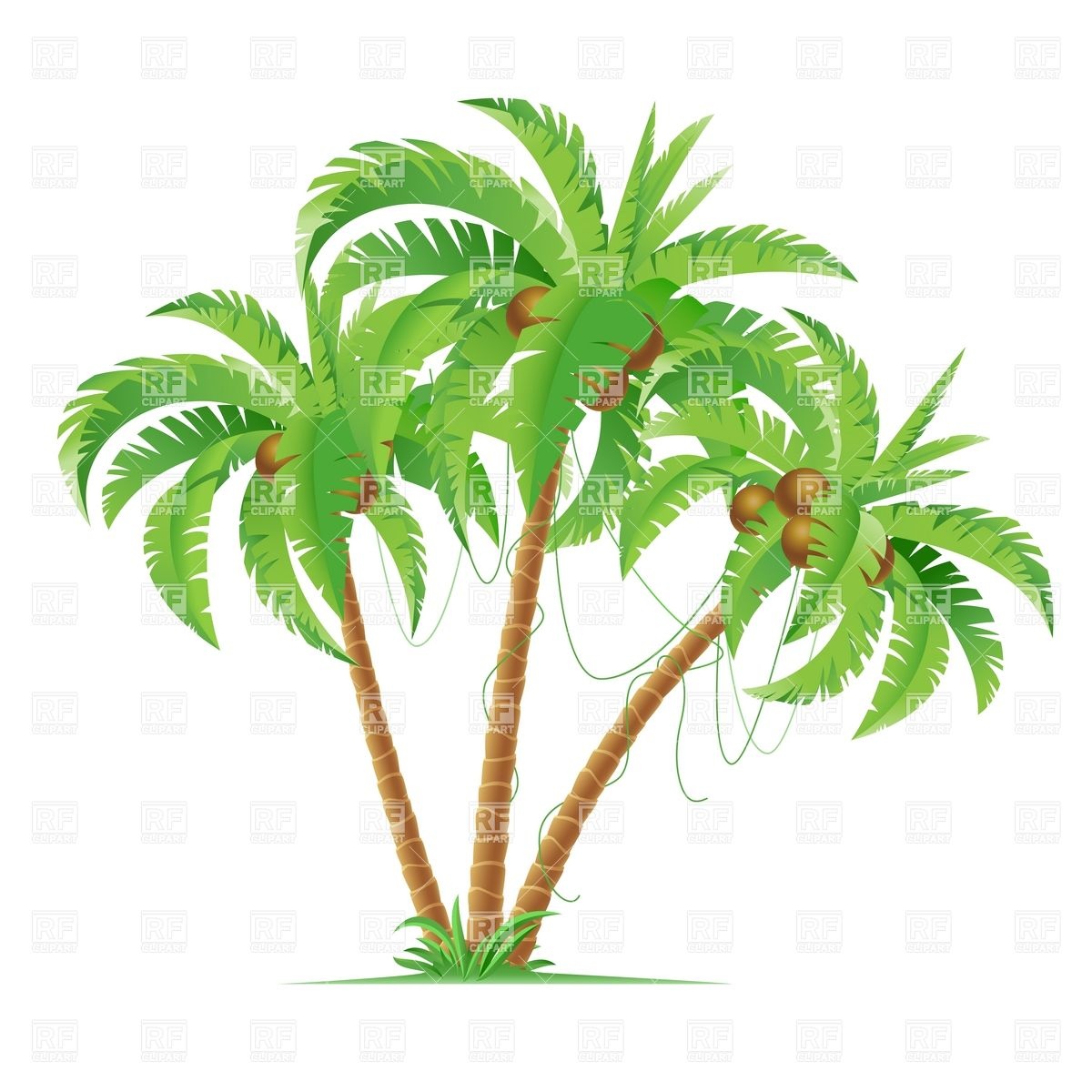 Coconut Palm Trees Travel Download Royalty Free Vector Clip Art Eps