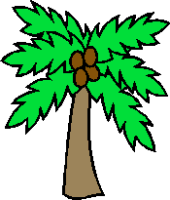 Coconut Tree Clipart