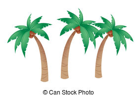 ... Coconut tree isolated in white background Coconut tree Clipartby ...