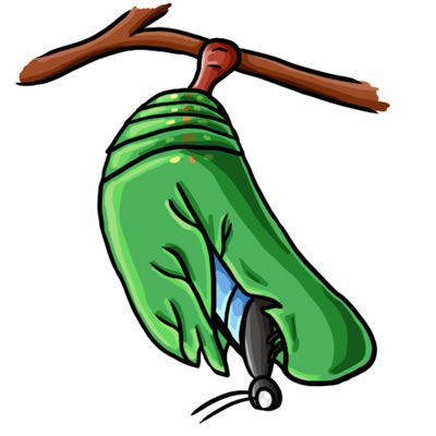 cocoon clipart