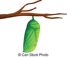 Cocoon Illustrations and Clip Art. 307 Cocoon royalty free illustrations and drawings available to search from thousands of stock vector EPS clipart graphic ...