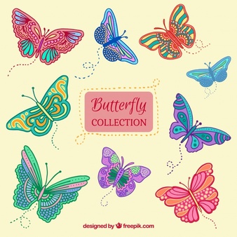 Collection of hand-drawn butterflies