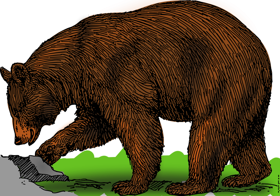 Colored Bear Clipart image - Grizzly Bear Clip Art