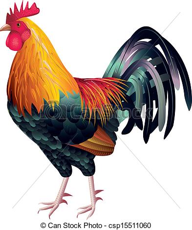 colorful and high detailed rooster photo realistic vector