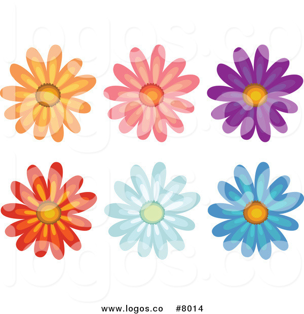 Colorful Daisy Flower Clip Art