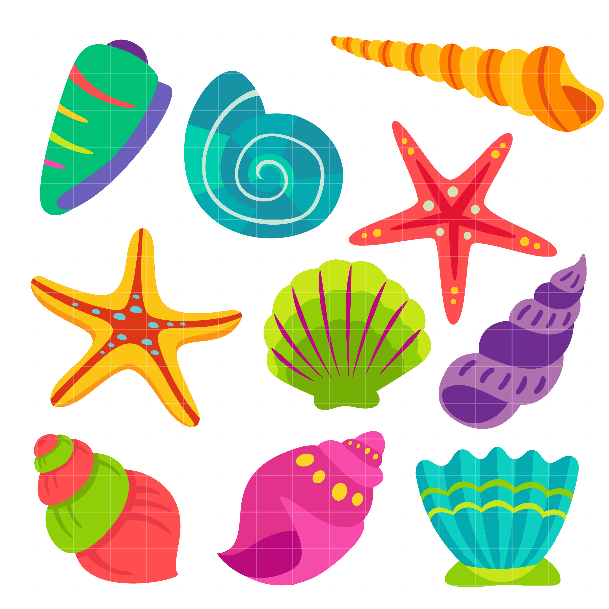 Colorful Sea Shells Clipart