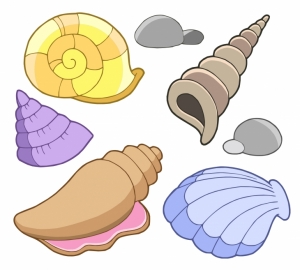 Colorful Seashell Clipart . - Seashells Clipart