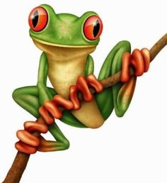 Colorful Tree Frog - Tree Frog Clipart