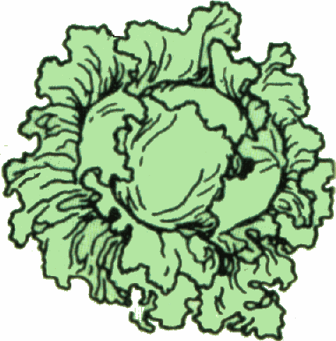 Colour Vegetable Clip Art Page 1