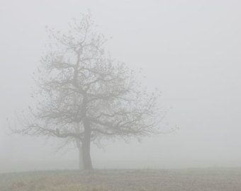 Fog Clipart; Fog Clipart; Fog