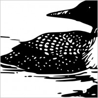 Loon Clip Art Free Images At 