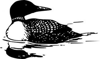 Loon Clip Art Free Images At 