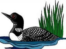 Loon Best Clipart Free Clip A