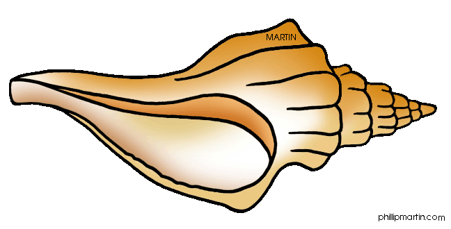 Conch Shell Clip Art | Revers