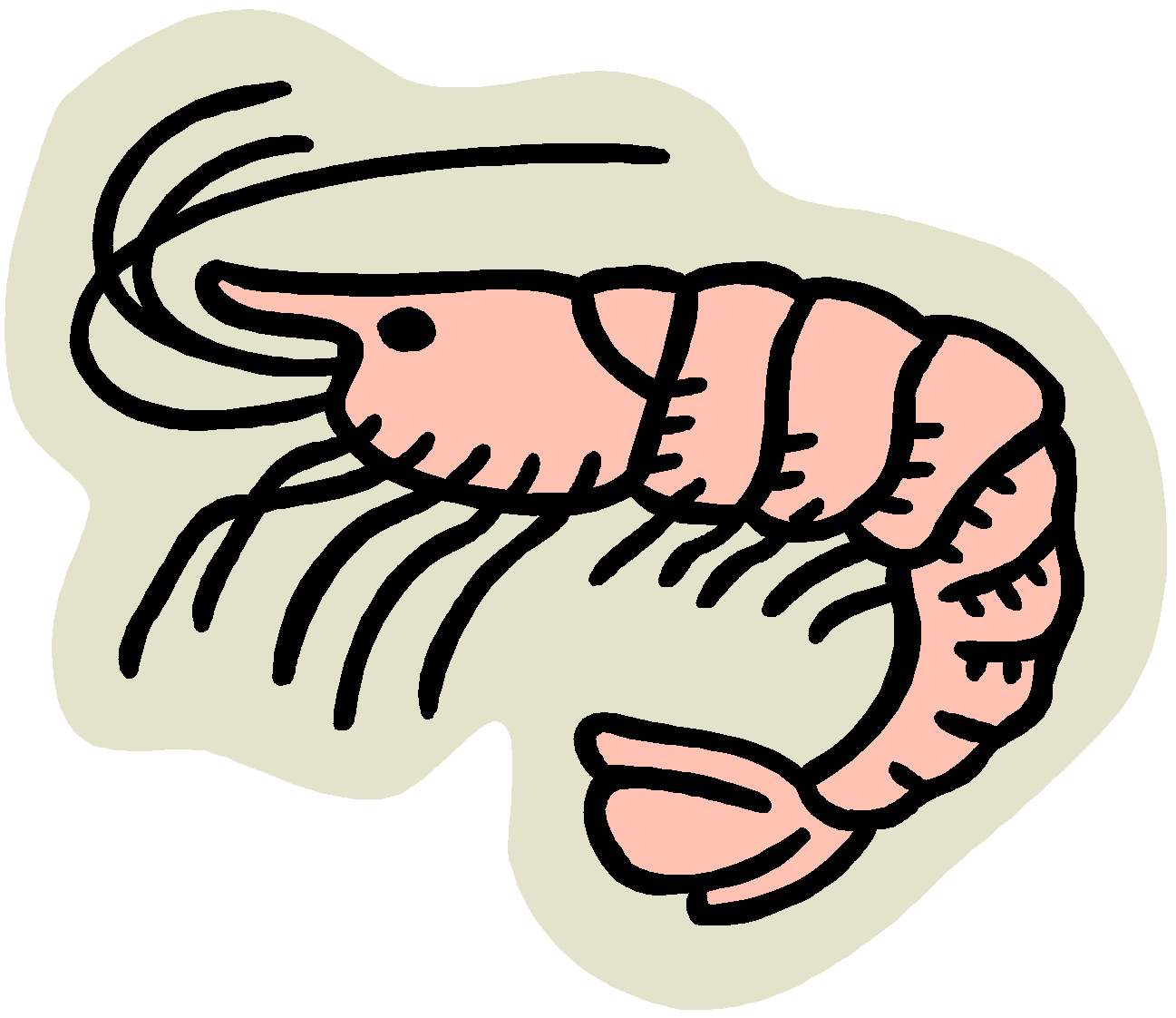 cooked shrimp clipart - Shrimp Clip Art