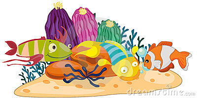 Marine Life Clipart Coral Ree