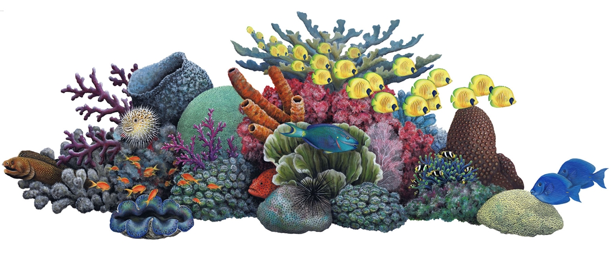 Vector Coral Reef Theme Image