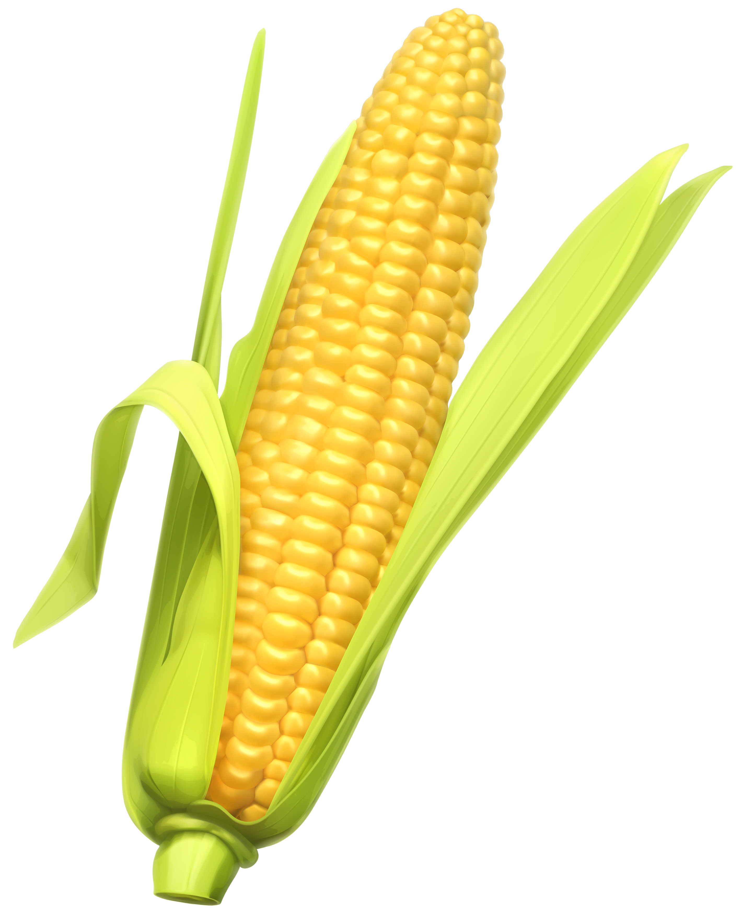 corn clipart