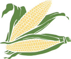 Corn clip art at vector clip art free image