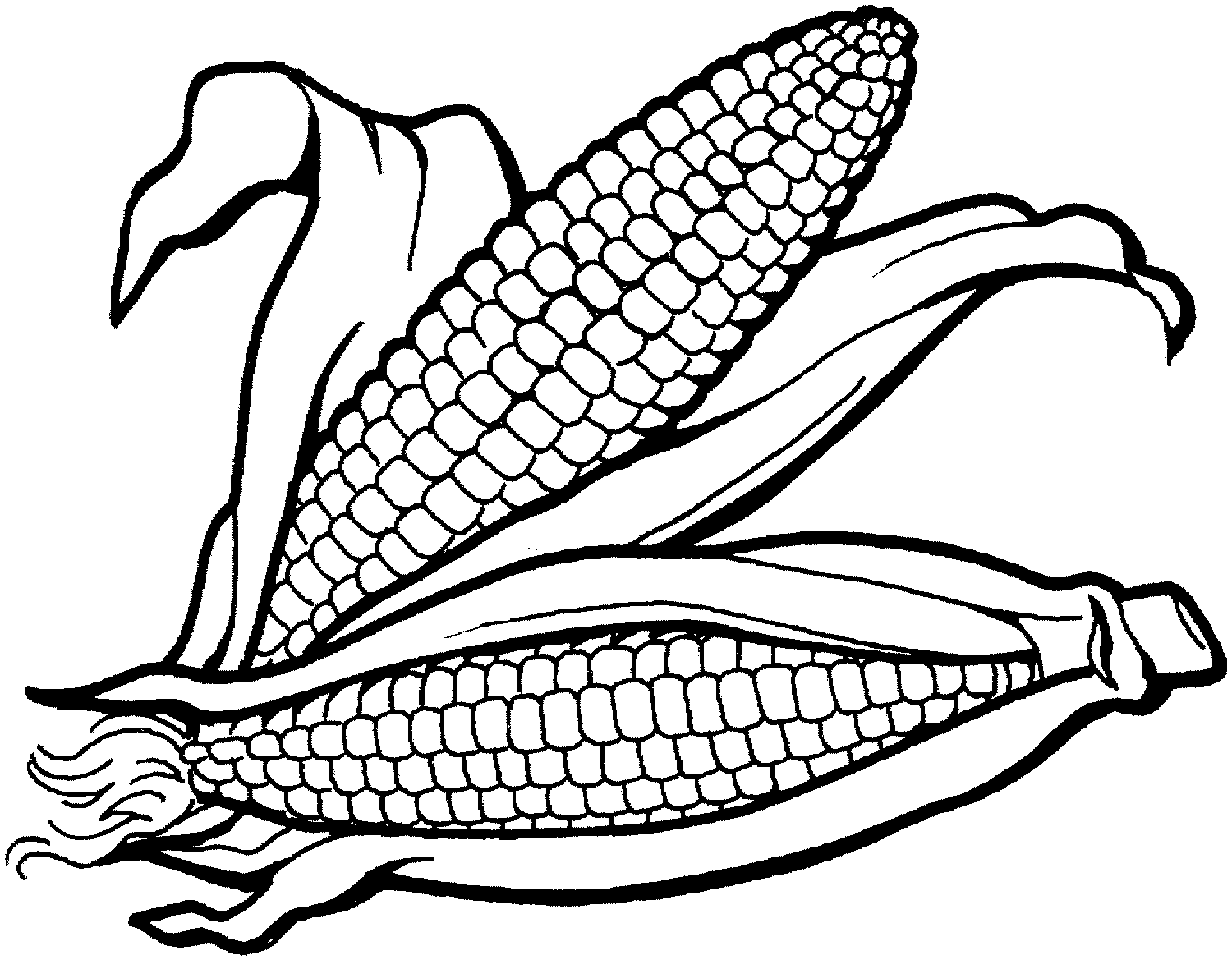 Corn Clipart Black And White  - Indian Corn Clipart