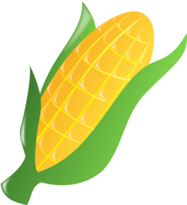 Ear Of Corn Clipart #1
