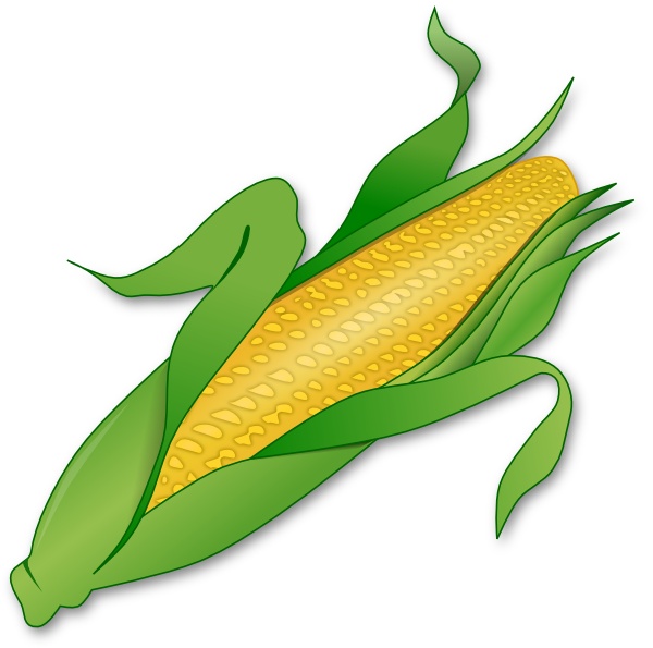 Corn clipart rn clip art vect - Corn Clipart
