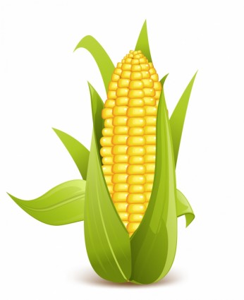 Corn clipart Vegetable clip a - Corn Clipart