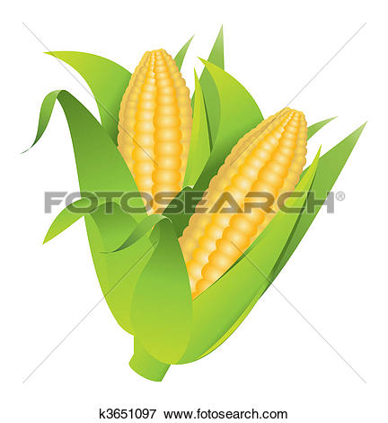 Corn cobs - Corn On The Cob Clip Art