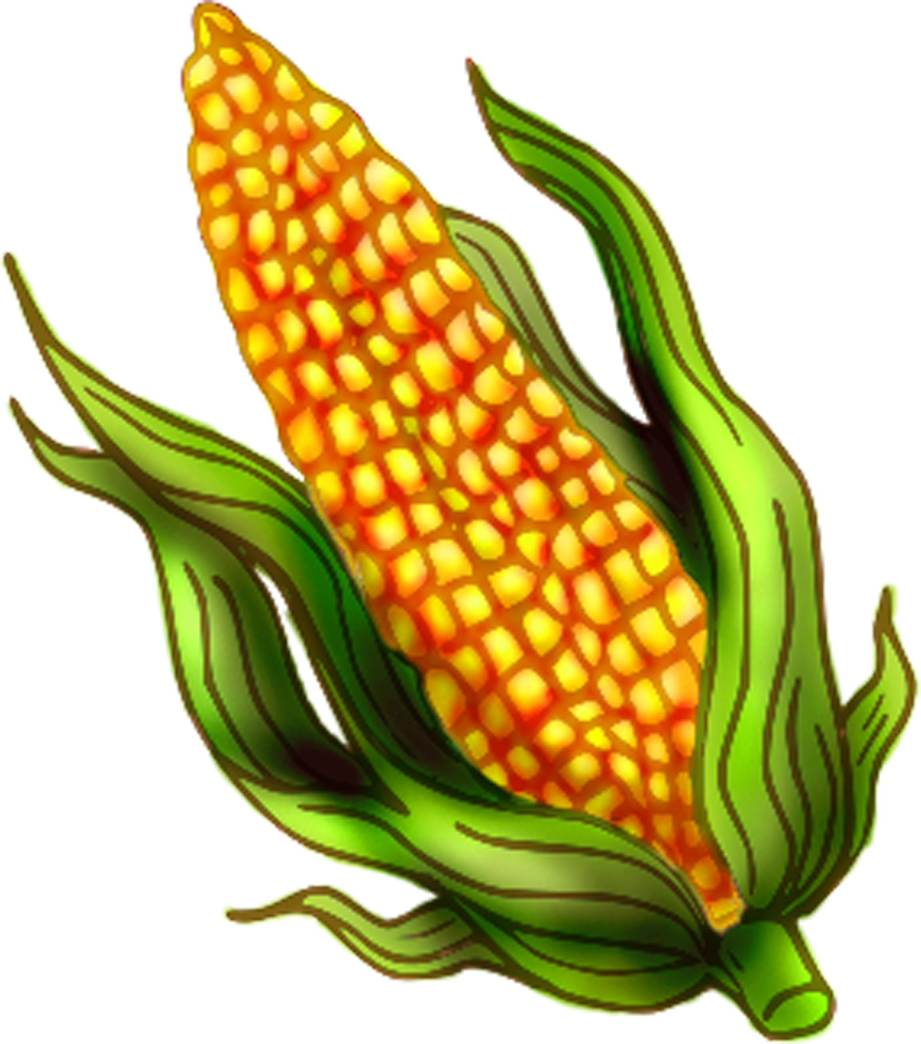 Corn freern clipart pictures  - Corn Clipart