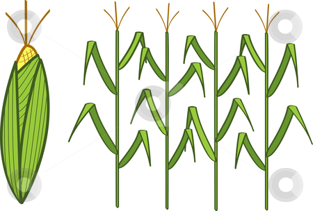 Corn Graphics Clipart - Corn Stalk Clip Art