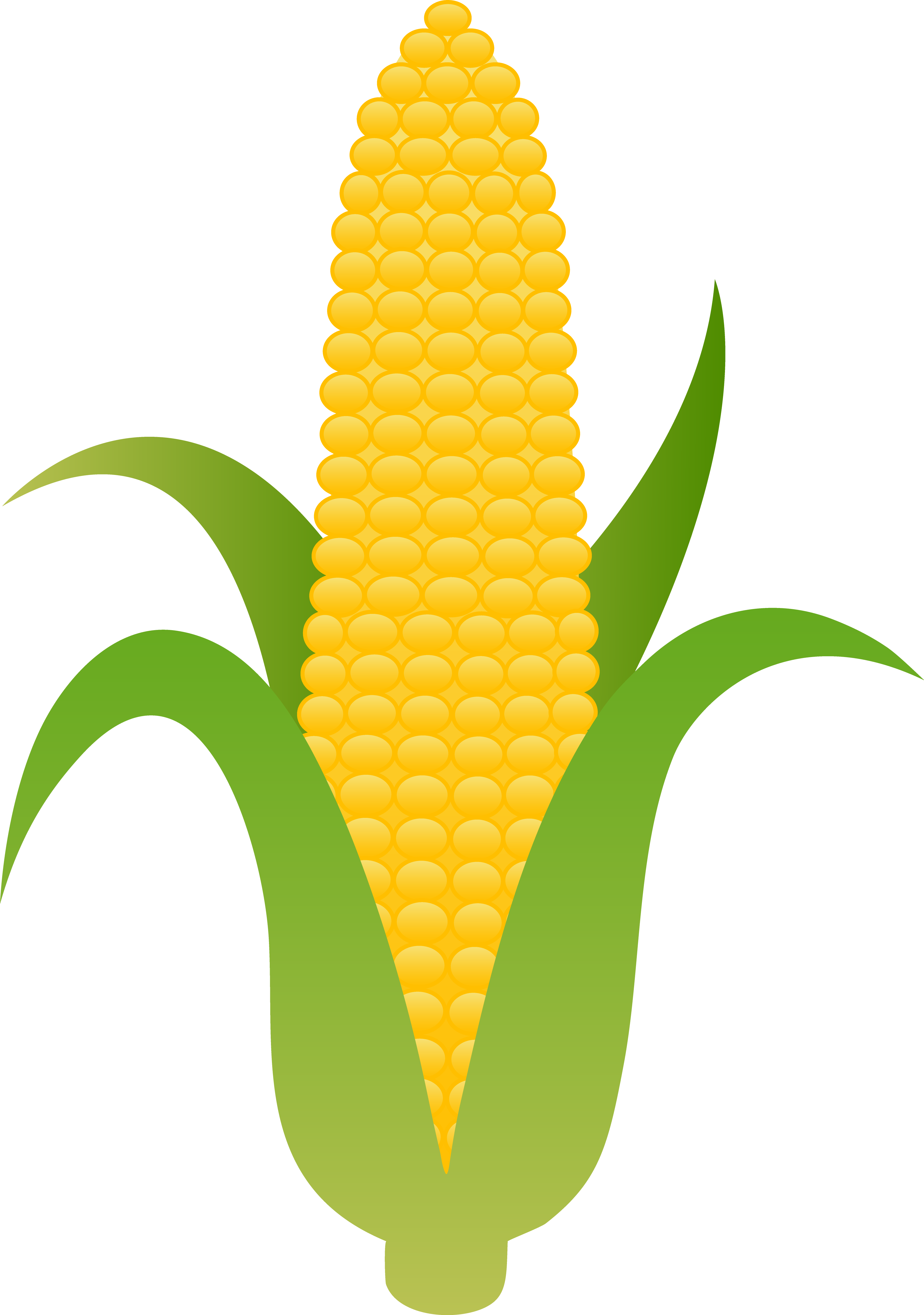 Corn Husk Clipart - Clipart Corn