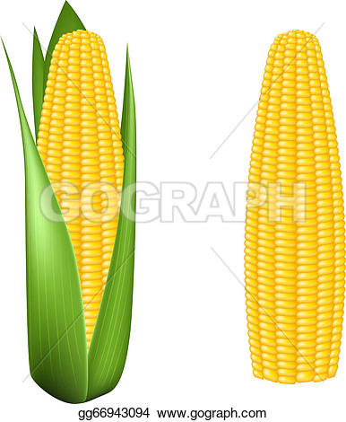 ... Food character - corn cob