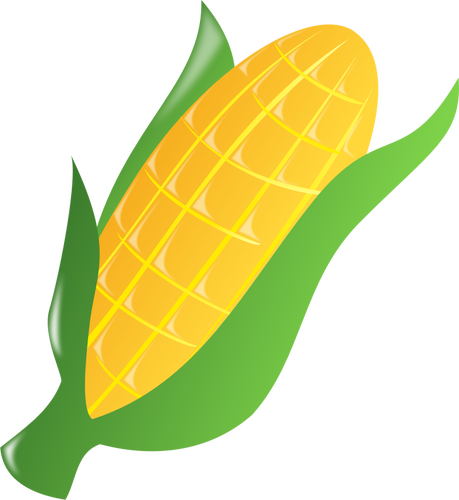 Corn on the cob 2 - Corn On The Cob Clipart